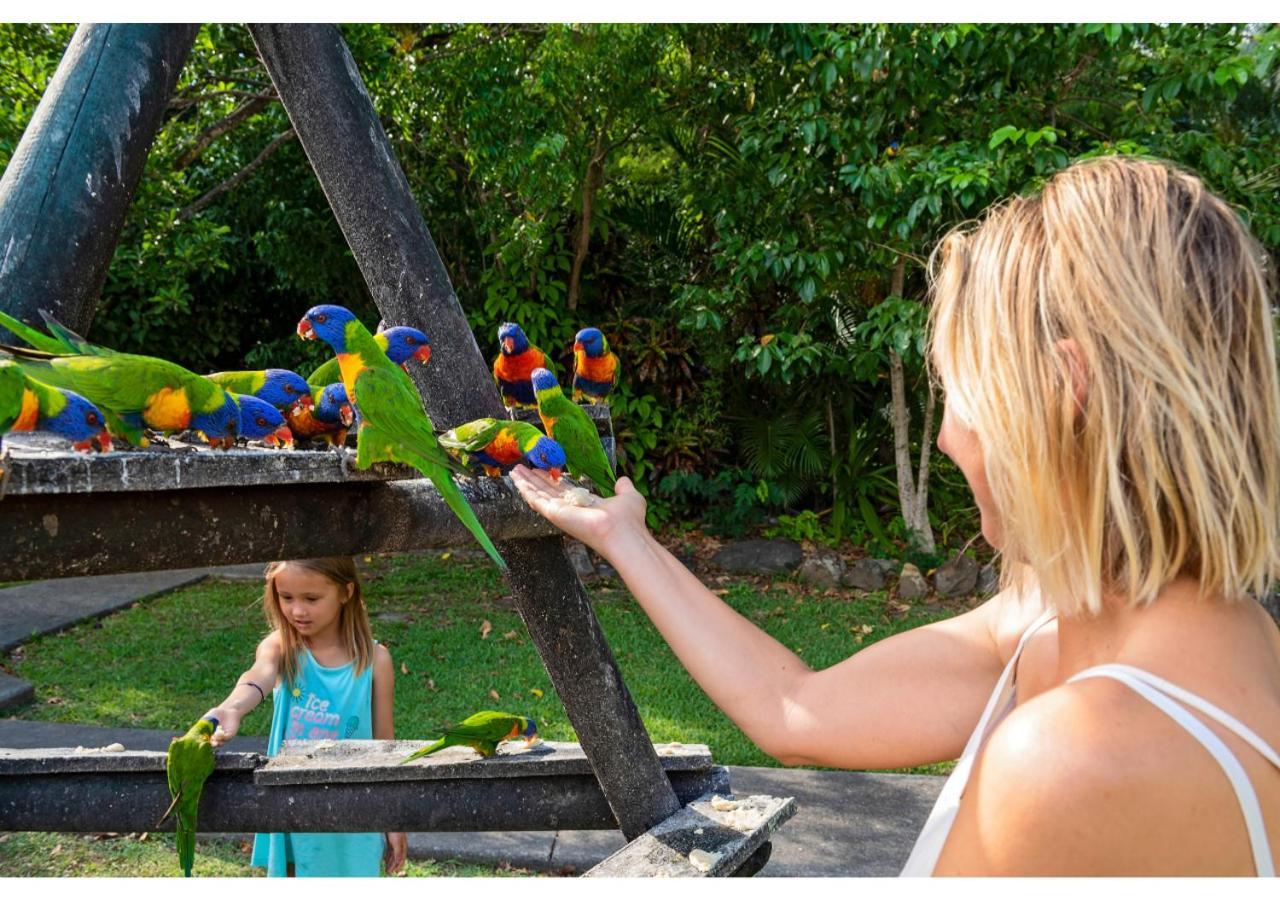 Discovery Parks - Airlie Beach Extérieur photo